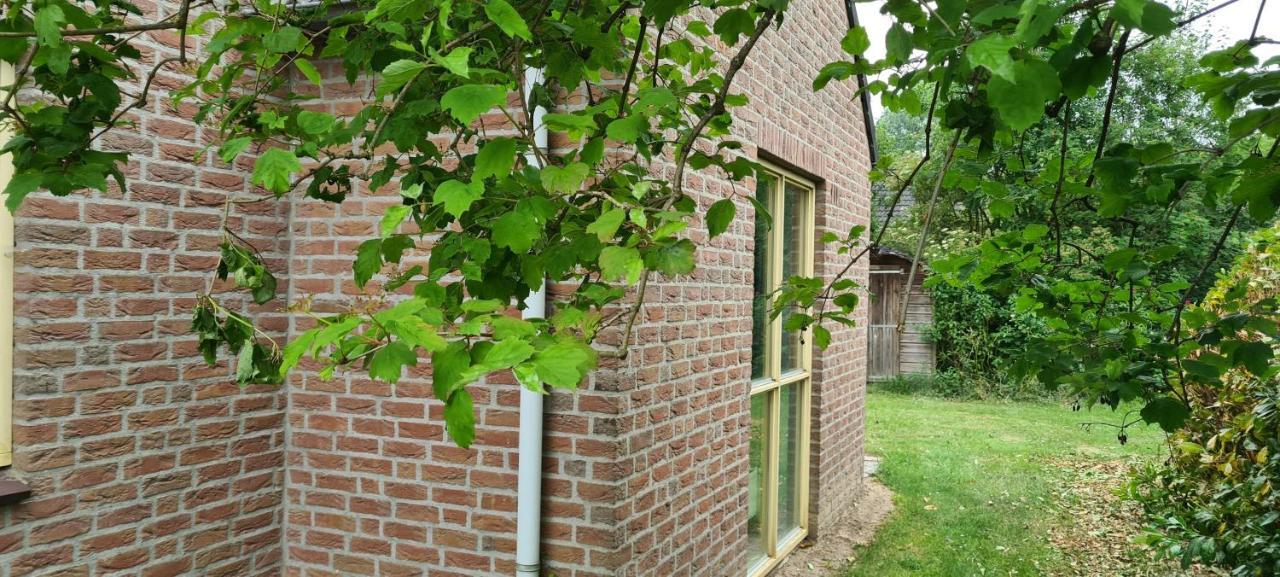Forestview 'Queenstown' 6 Pers Very Child-Friendly By Kawatea Cottages (Adults Only) Ewijk Екстериор снимка