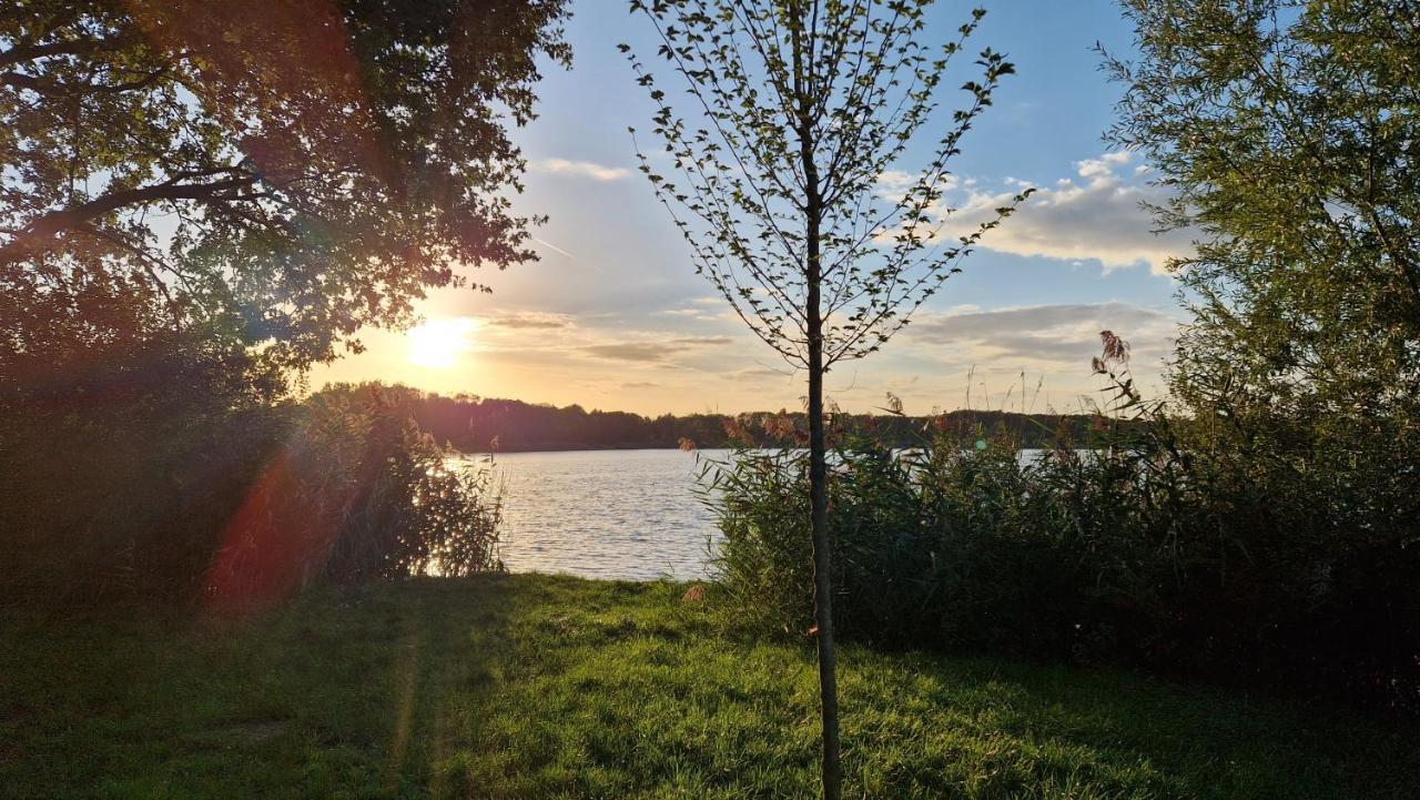 Forestview 'Queenstown' 6 Pers Very Child-Friendly By Kawatea Cottages (Adults Only) Ewijk Екстериор снимка