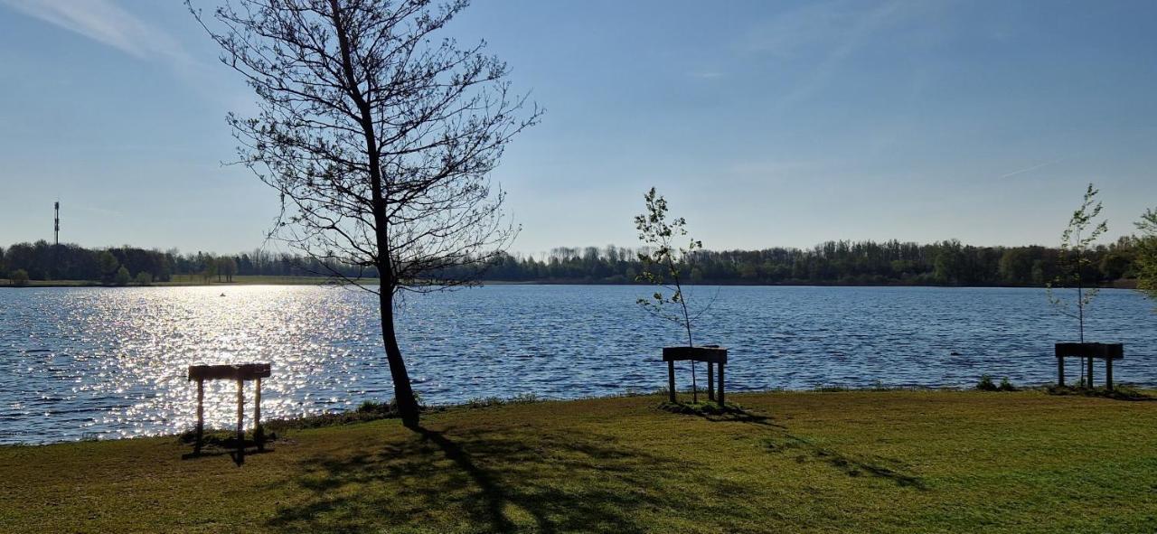 Forestview 'Queenstown' 6 Pers Very Child-Friendly By Kawatea Cottages (Adults Only) Ewijk Екстериор снимка