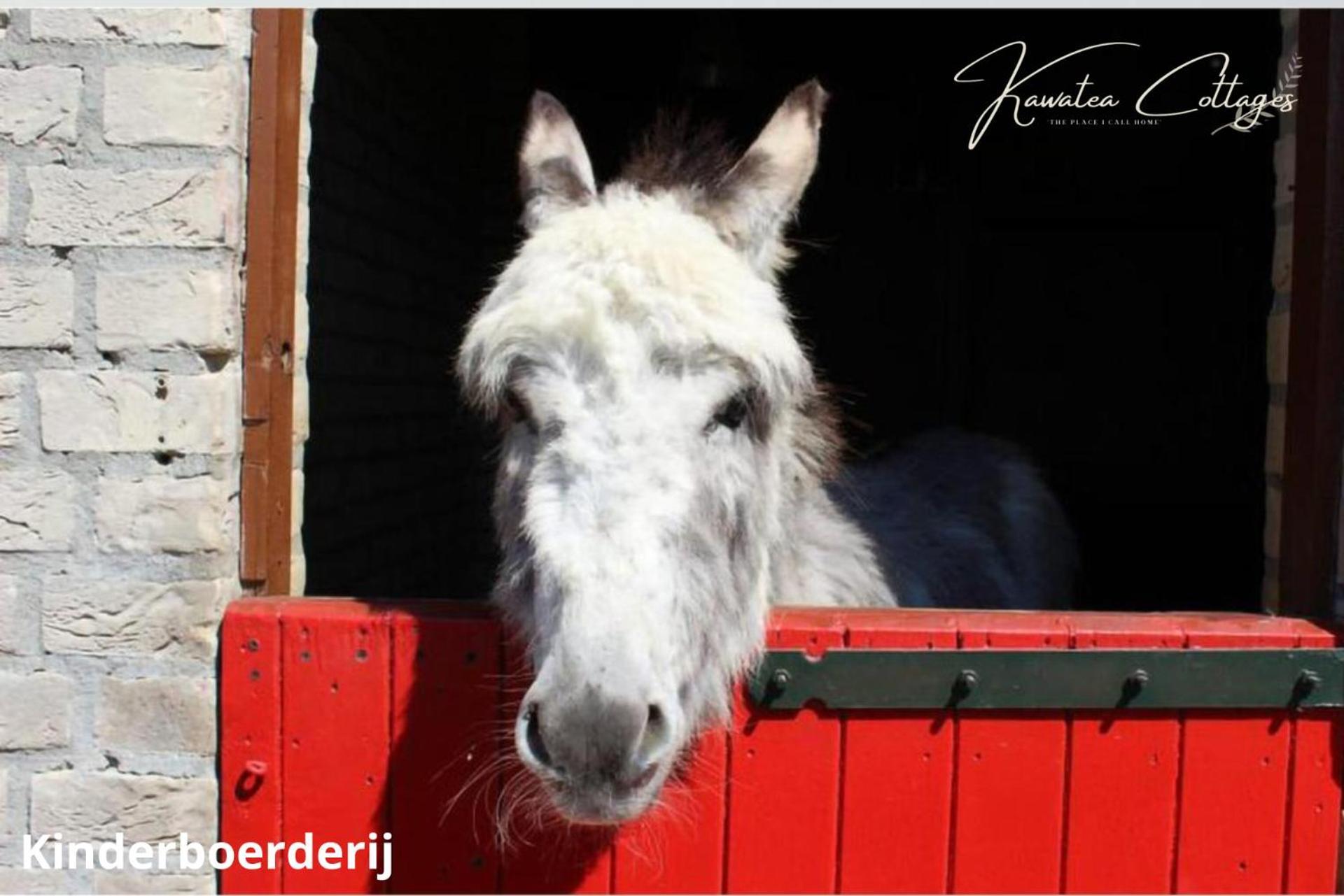 Forestview 'Queenstown' 6 Pers Very Child-Friendly By Kawatea Cottages (Adults Only) Ewijk Екстериор снимка